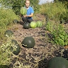 Віктор Сазонов