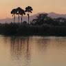 Masozi Kachale