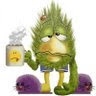 Sretko Popadic