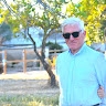 thierry zucco