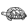 Tortuguita Crafts