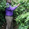 Mpande Peter