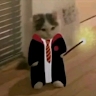 Jae Dancer