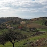 Borut VEREŠ