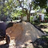 TEMA TONGA