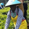 Alfred Njagi