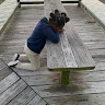 J. omori