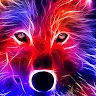 Wolf Of Wynwood WOW