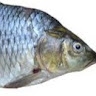 Clyde Otimah