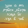 תמר בלוי