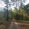 Юлія Приліпко