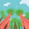 Ethyn Wade