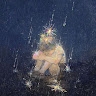 MINTOWΛVΞ  