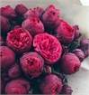 Алина Сыпко